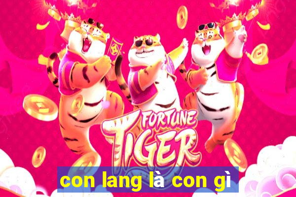 con lang là con gì