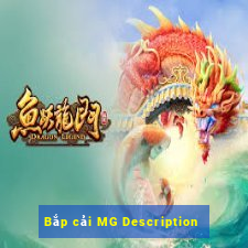 Bắp cải MG Description