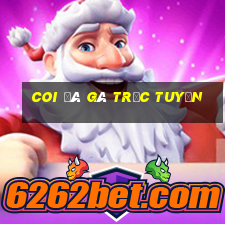 coi đá gà trực tuyến