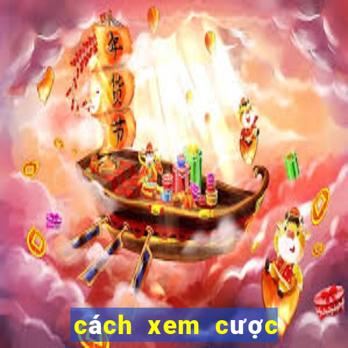 cách xem cược bóng đá