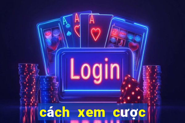 cách xem cược bóng đá