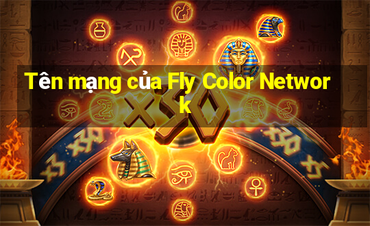 Tên mạng của Fly Color Network