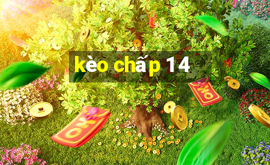 kèo chấp 1 4