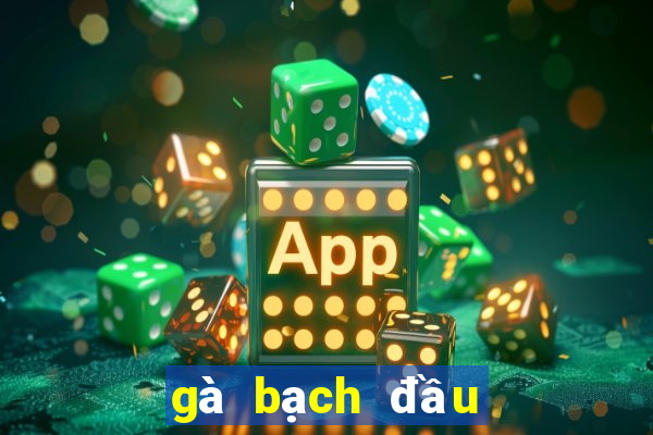 gà bạch đầu chỉ 2 chân