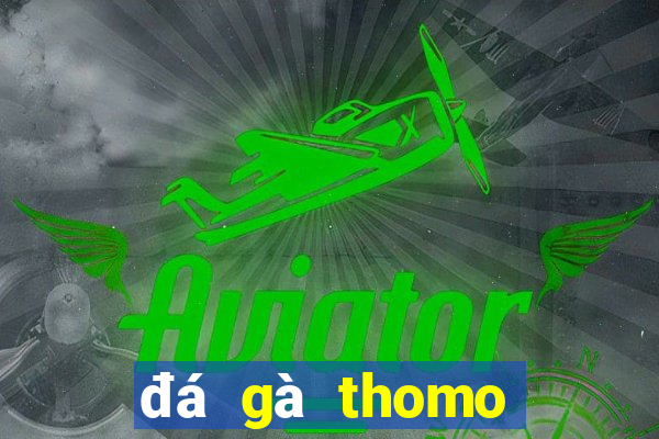 đá gà thomo trực tiếp sv388