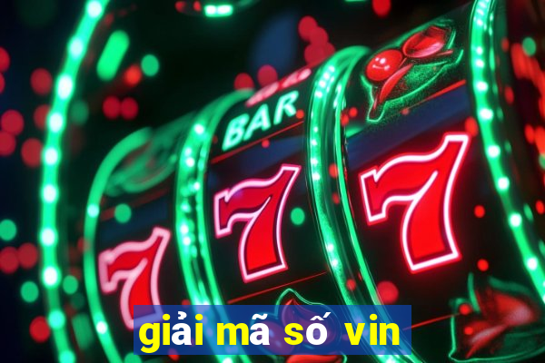 giải mã số vin