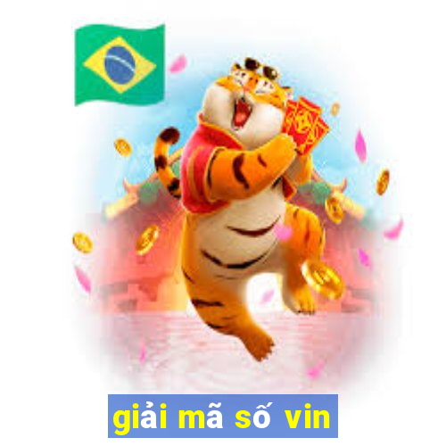 giải mã số vin