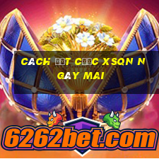 Cách đặt cược XSQN ngày mai