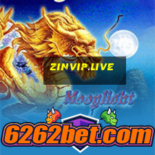 zinvip.live