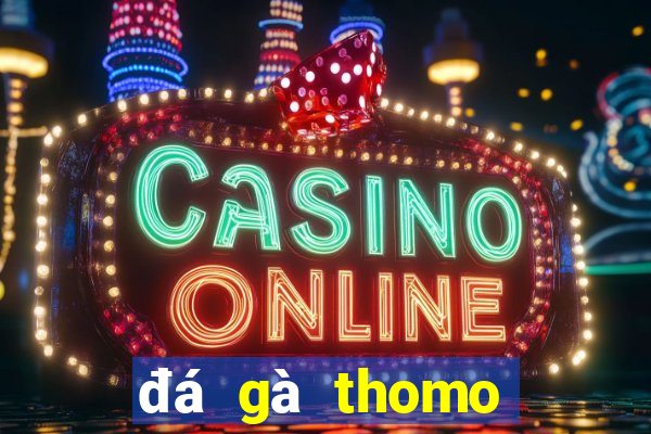 đá gà thomo trực tiếp 999