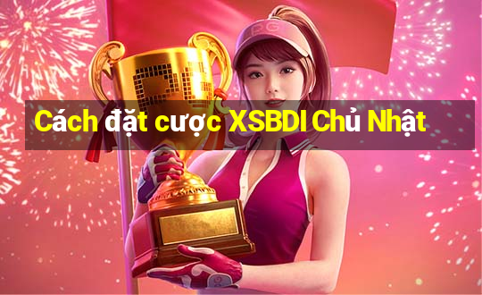 Cách đặt cược XSBDI Chủ Nhật