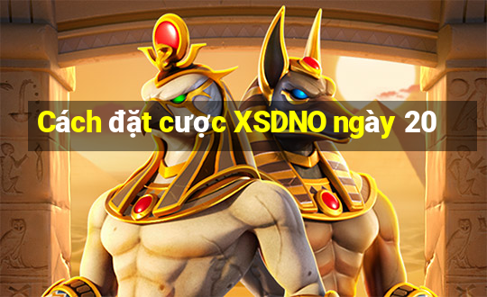 Cách đặt cược XSDNO ngày 20