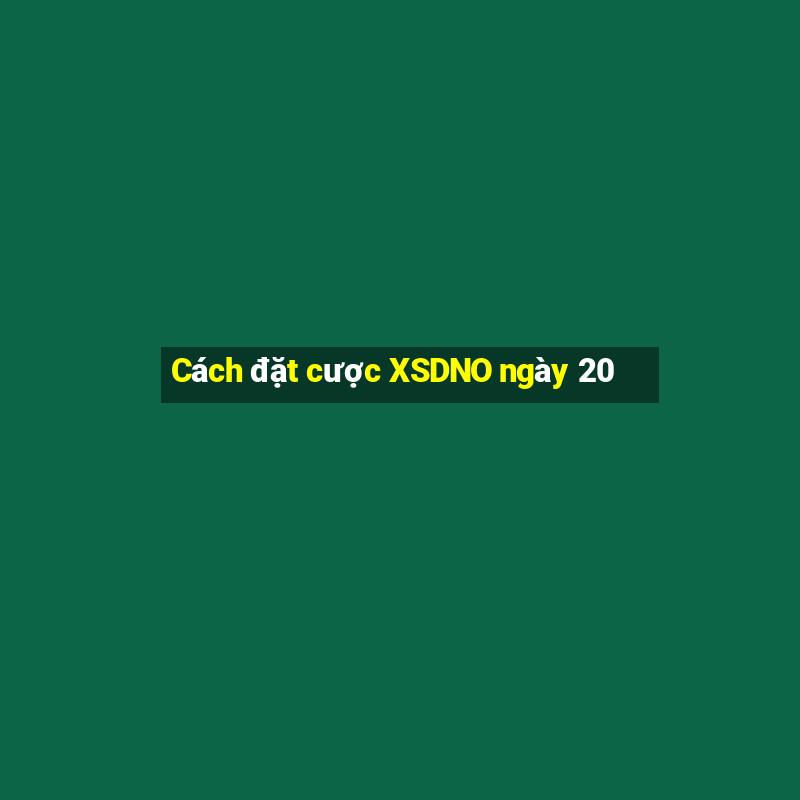 Cách đặt cược XSDNO ngày 20