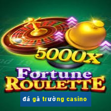 đá gà trường casino