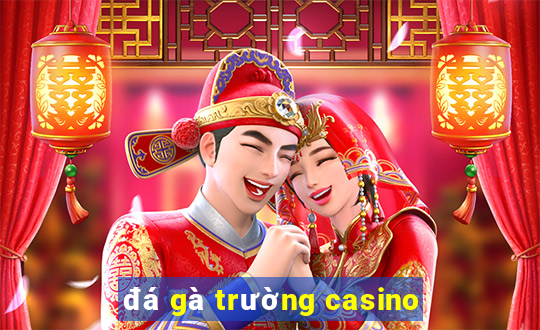 đá gà trường casino