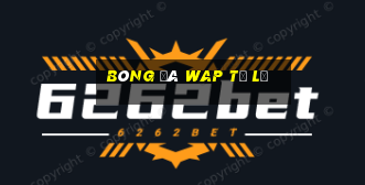 bóng đá wap tỷ lệ