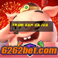 trum ban ca ica