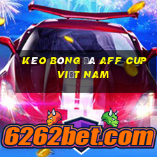 kèo bóng đá aff cup việt nam