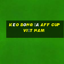 kèo bóng đá aff cup việt nam