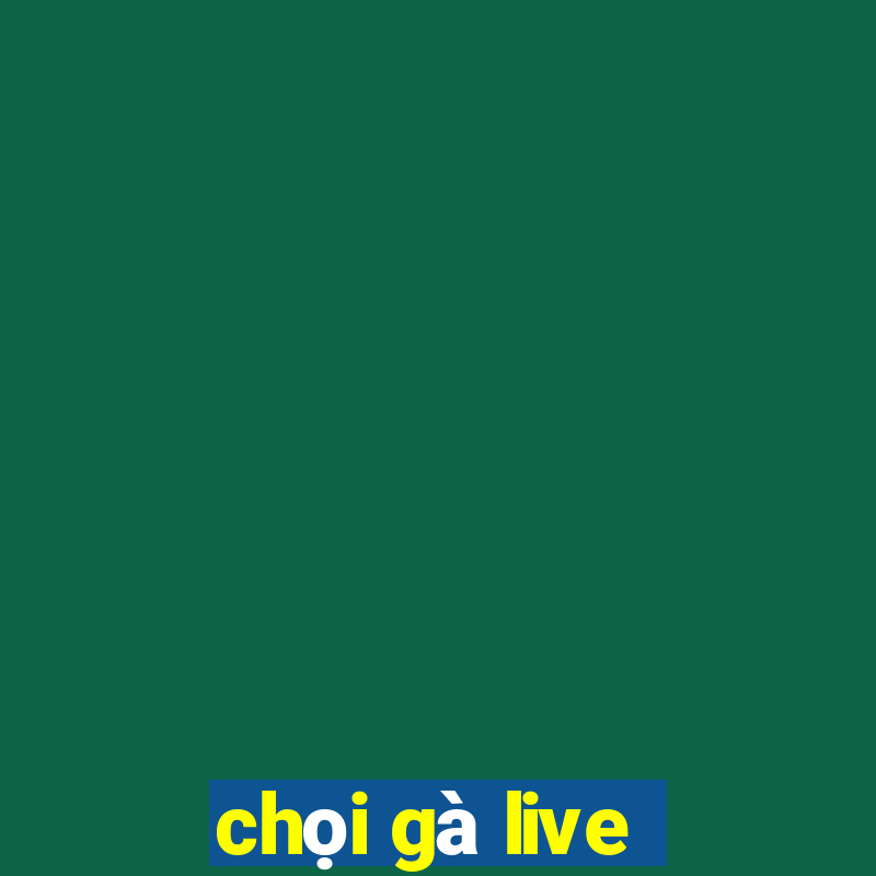 chọi gà live