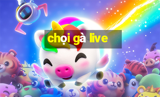 chọi gà live