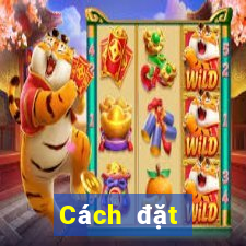 Cách đặt cược XSMN thứ Ba