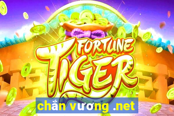 chắn vương .net