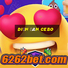 Diễn đàn Cebo