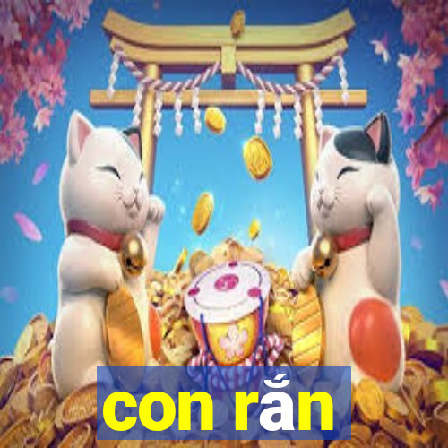 con rắn