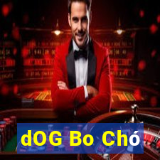 dOG Bo Chó