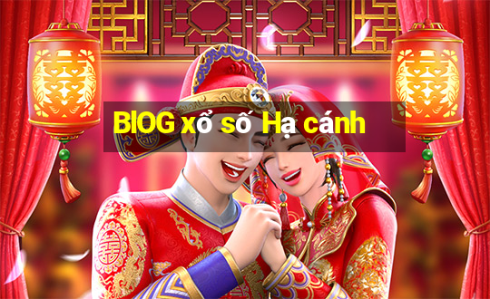 BlOG xổ số Hạ cánh