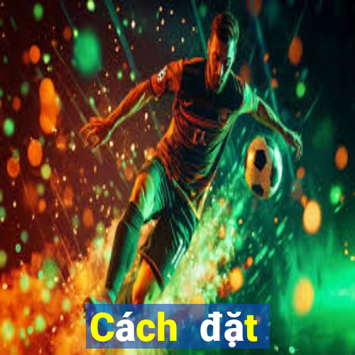 Cách đặt cược XSHN ngày 4