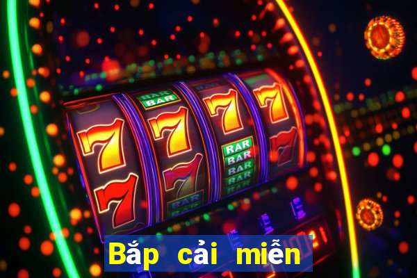 Bắp cải miễn phí Net