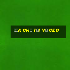 địa chỉ tải về ceo