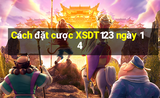 Cách đặt cược XSDT123 ngày 14