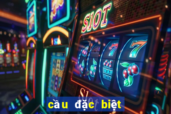 cầu đặc biệt miền bắc