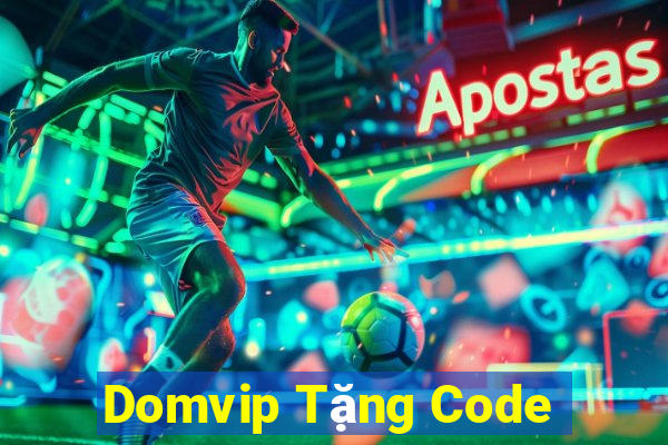 Domvip Tặng Code