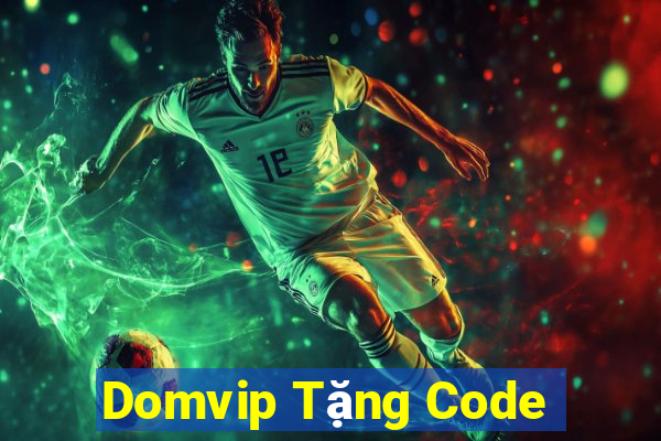 Domvip Tặng Code