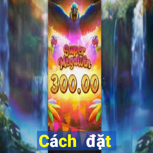 Cách đặt cược XSDN ngày 14