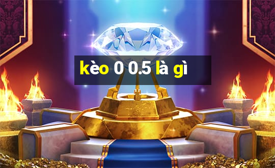 kèo 0 0.5 là gì