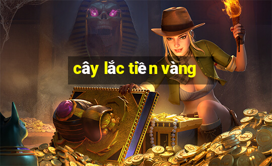 cây lắc tiền vàng