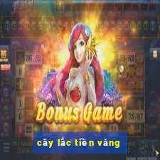 cây lắc tiền vàng