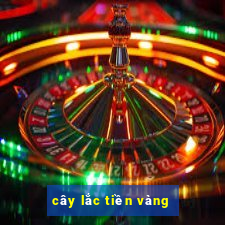 cây lắc tiền vàng