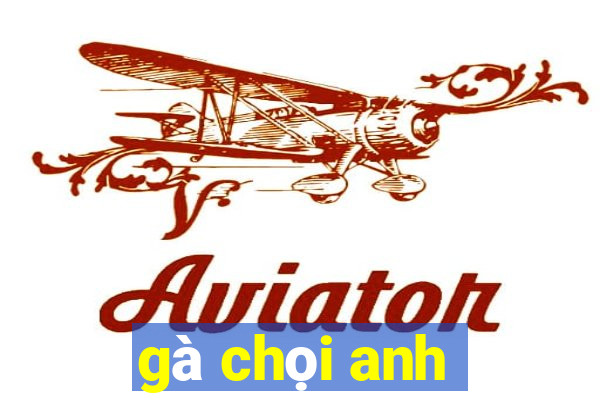 gà chọi anh