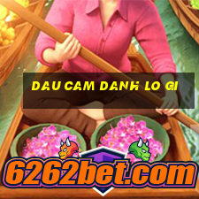 dau cam danh lo gi