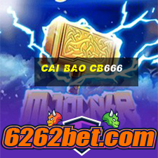 Cai Bao cb666