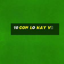 10 con lô hay về