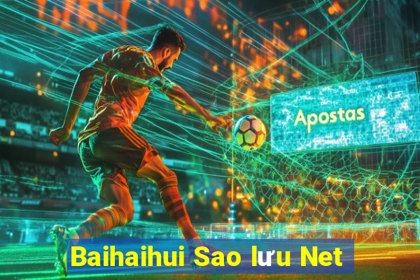 Baihaihui Sao lưu Net