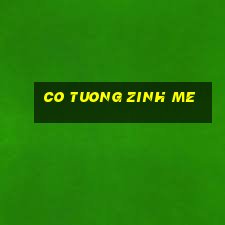 co tuong zinh me