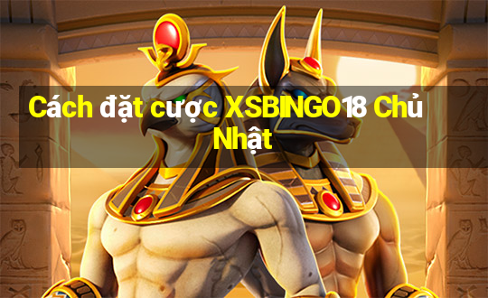 Cách đặt cược XSBINGO18 Chủ Nhật